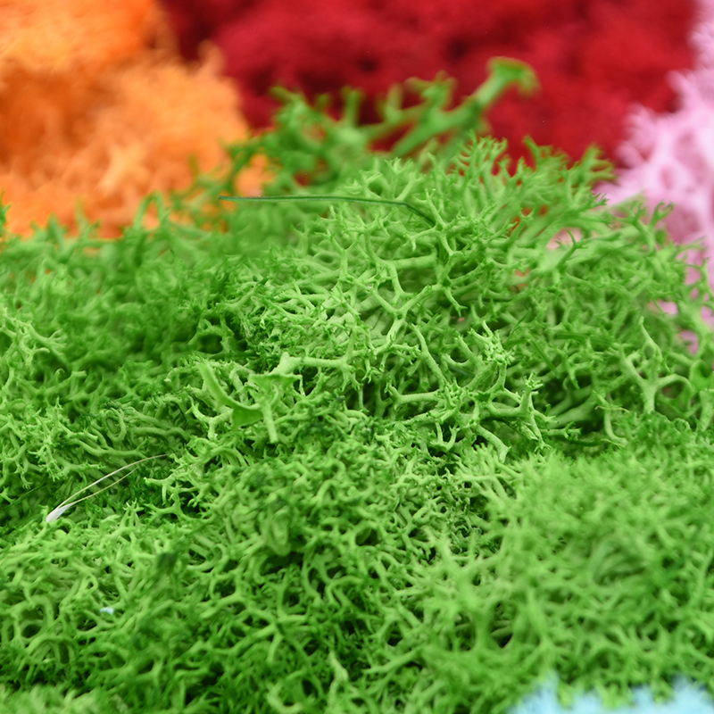 20/40g Artificial Green Plants - огляд і ціна Sphagnum Moss Dry