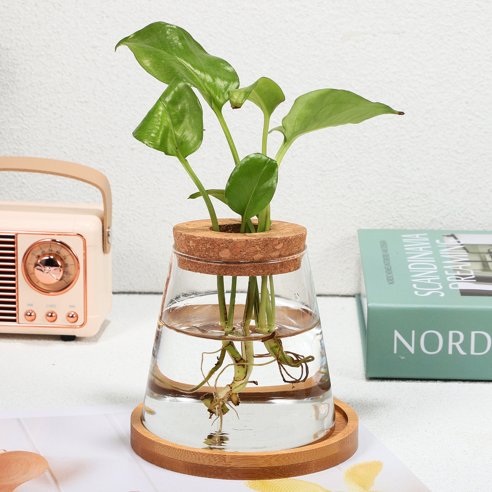 2Pcs Water Planters Glass Prop - огляд і ціна Propagation Station Vase