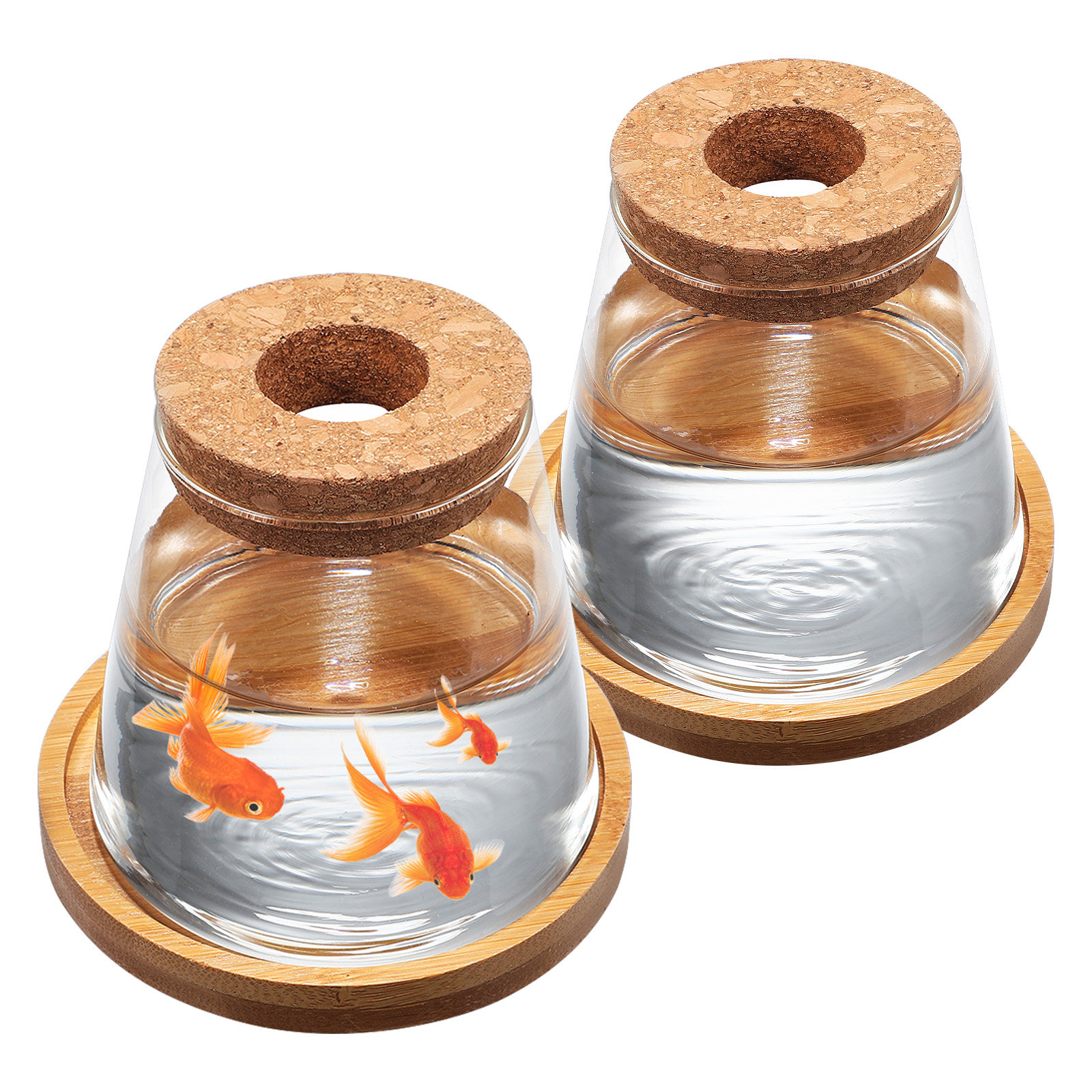 2Pcs Water Planters Glass Prop - огляд і ціна Propagation Station Vase