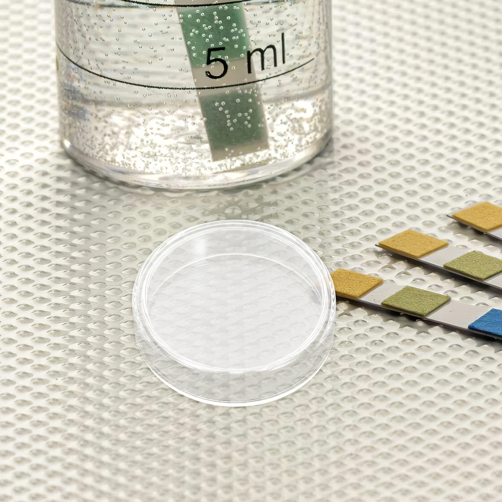 10 Pcs Agar Plates Tissue Cult - огляд і ціна Agar Tissue Culture