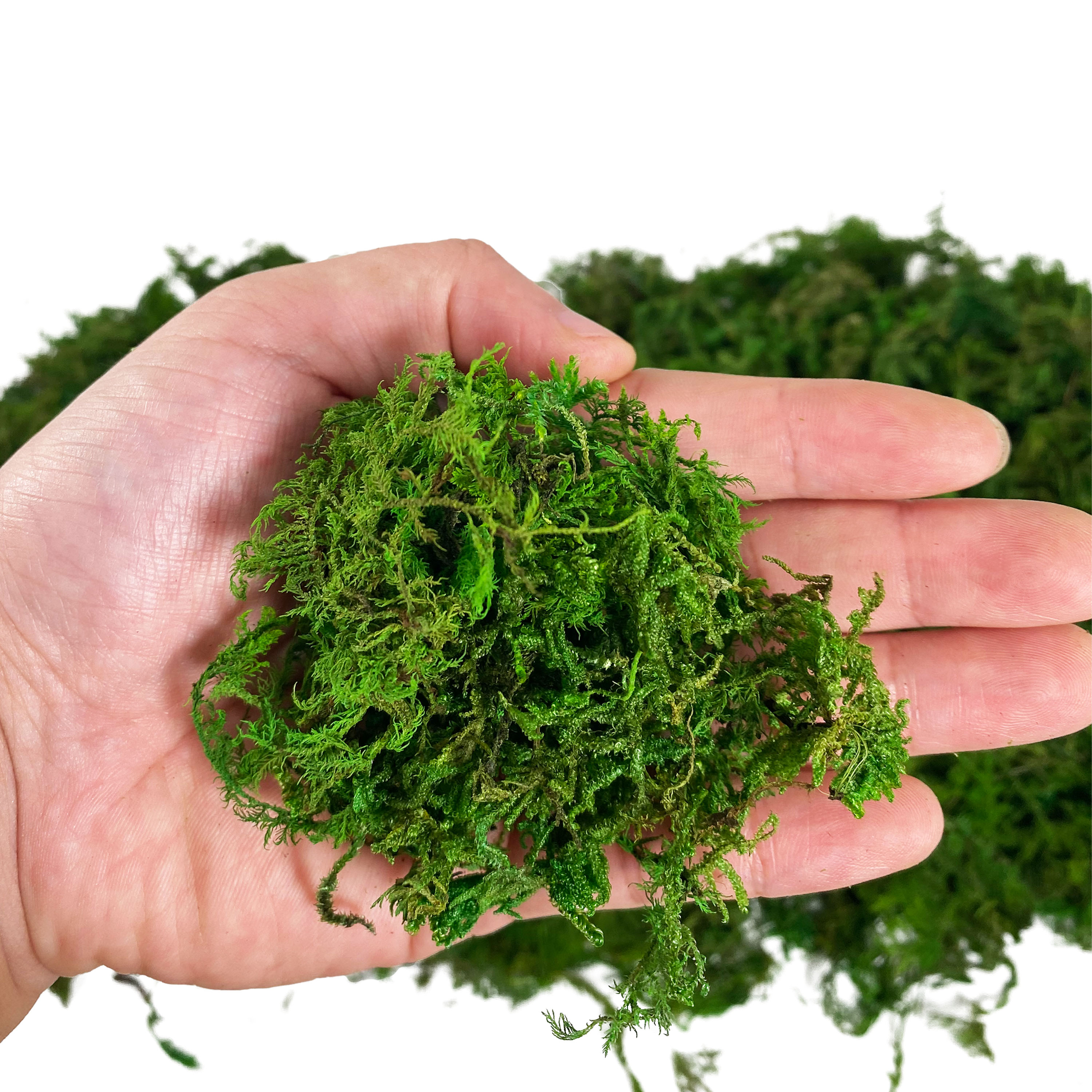 Artificial Fake Moss, Craft Mo - огляд і ціна Sphagnum Moss Dry