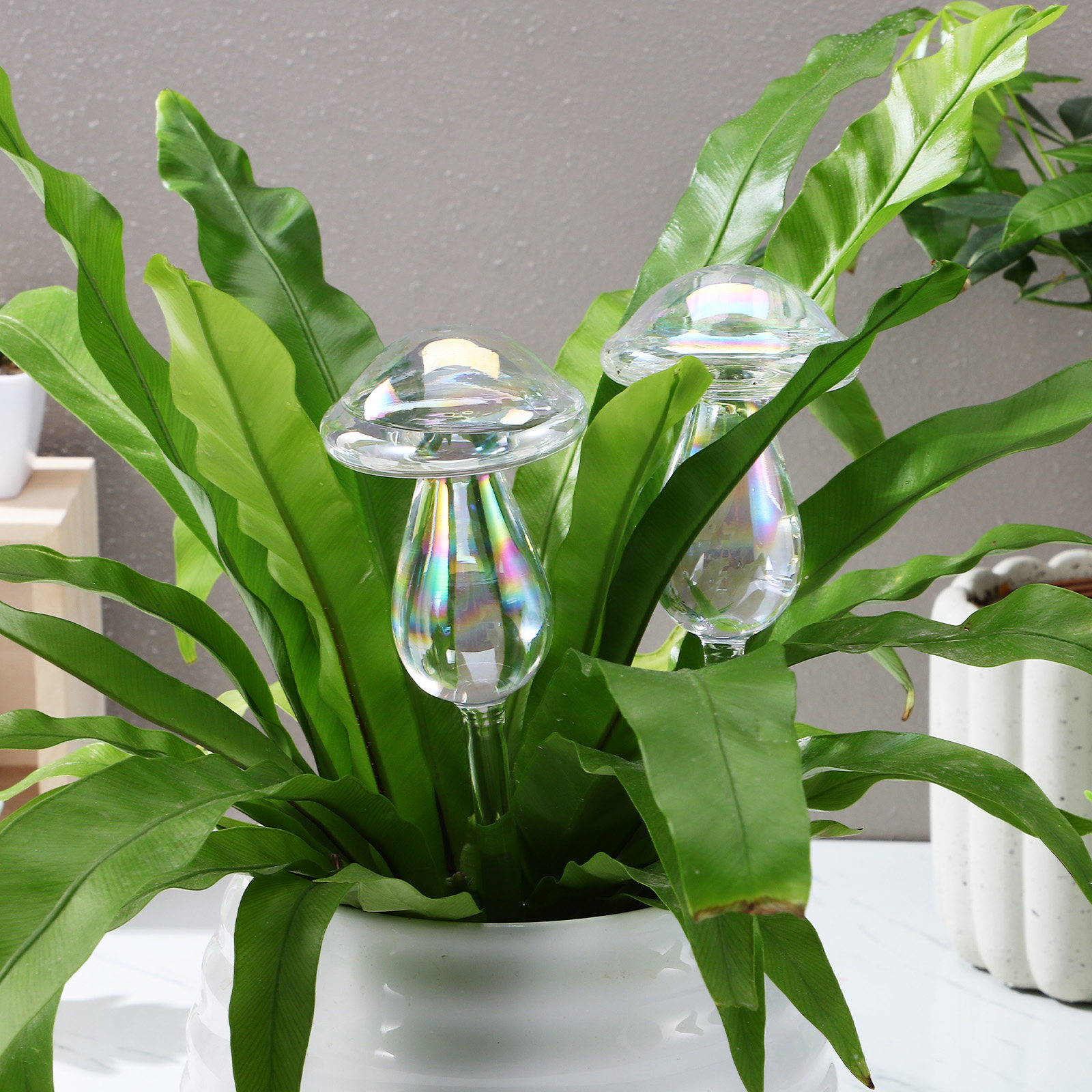 4 Pcs Pot Watering Device Plan - огляд і ціна Self Watering Insert