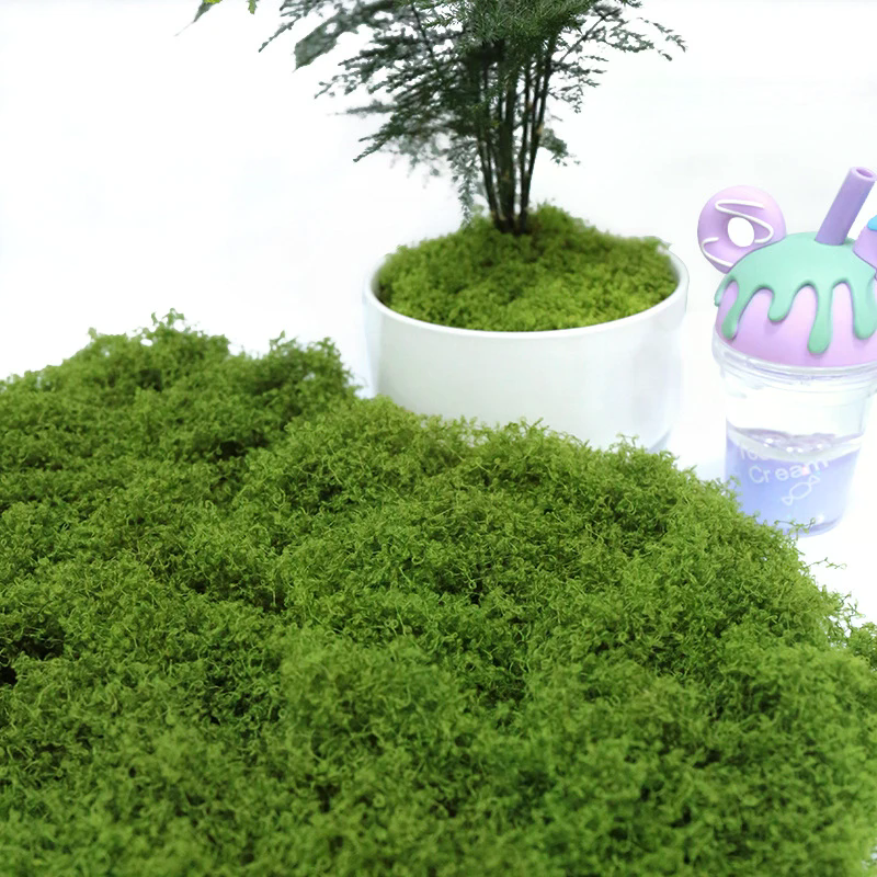 50g Fake Moss DIY Crafts Grass - огляд і ціна Sphagnum Moss Dry