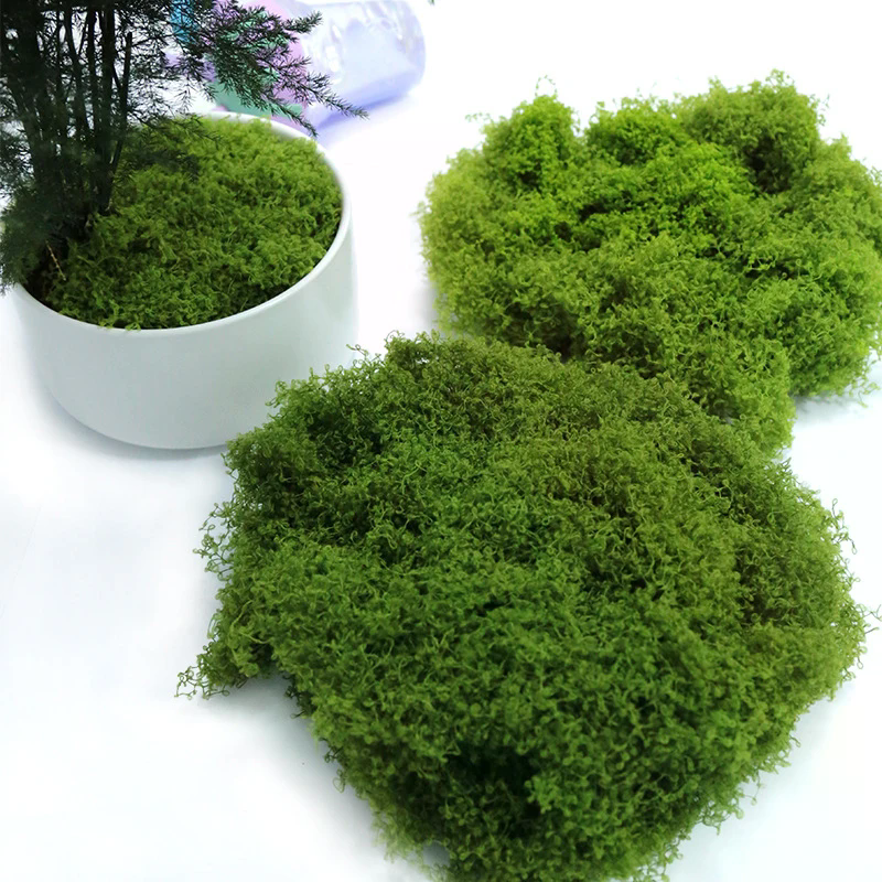 50g Fake Moss DIY Crafts Grass - огляд і ціна Sphagnum Moss Dry
