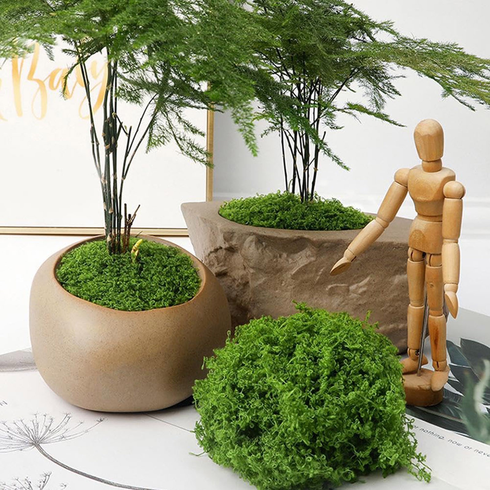 50/200g Artificial Moss For De - огляд і ціна Sphagnum Moss Dry