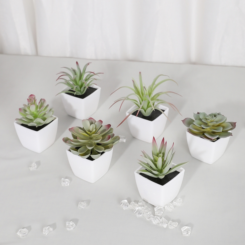6PCS (1SET) Artificial Plant E - огляд і ціна Sphagnum Moss Dry