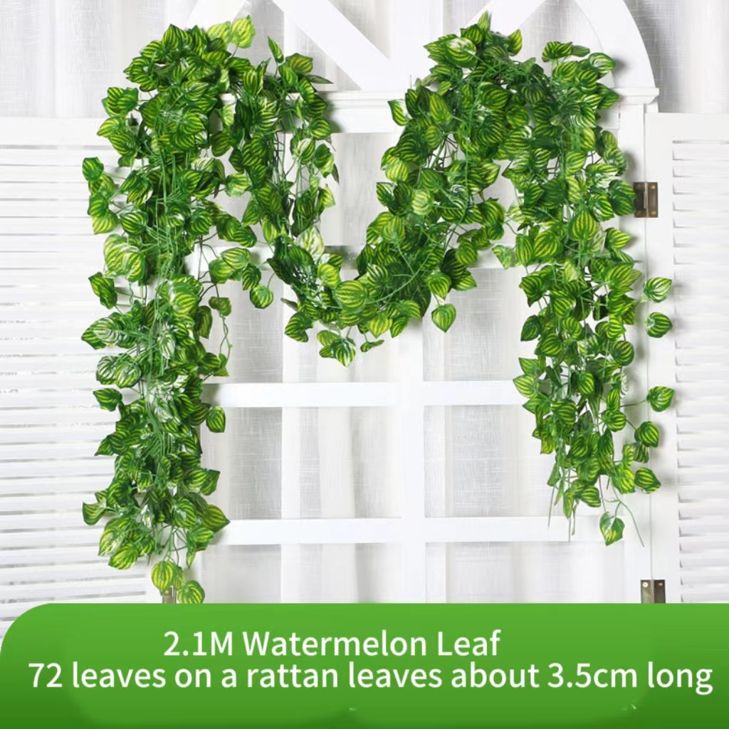 2.1M Green Ivy Leaf Hanging Vi - огляд і ціна Sphagnum Moss Dry