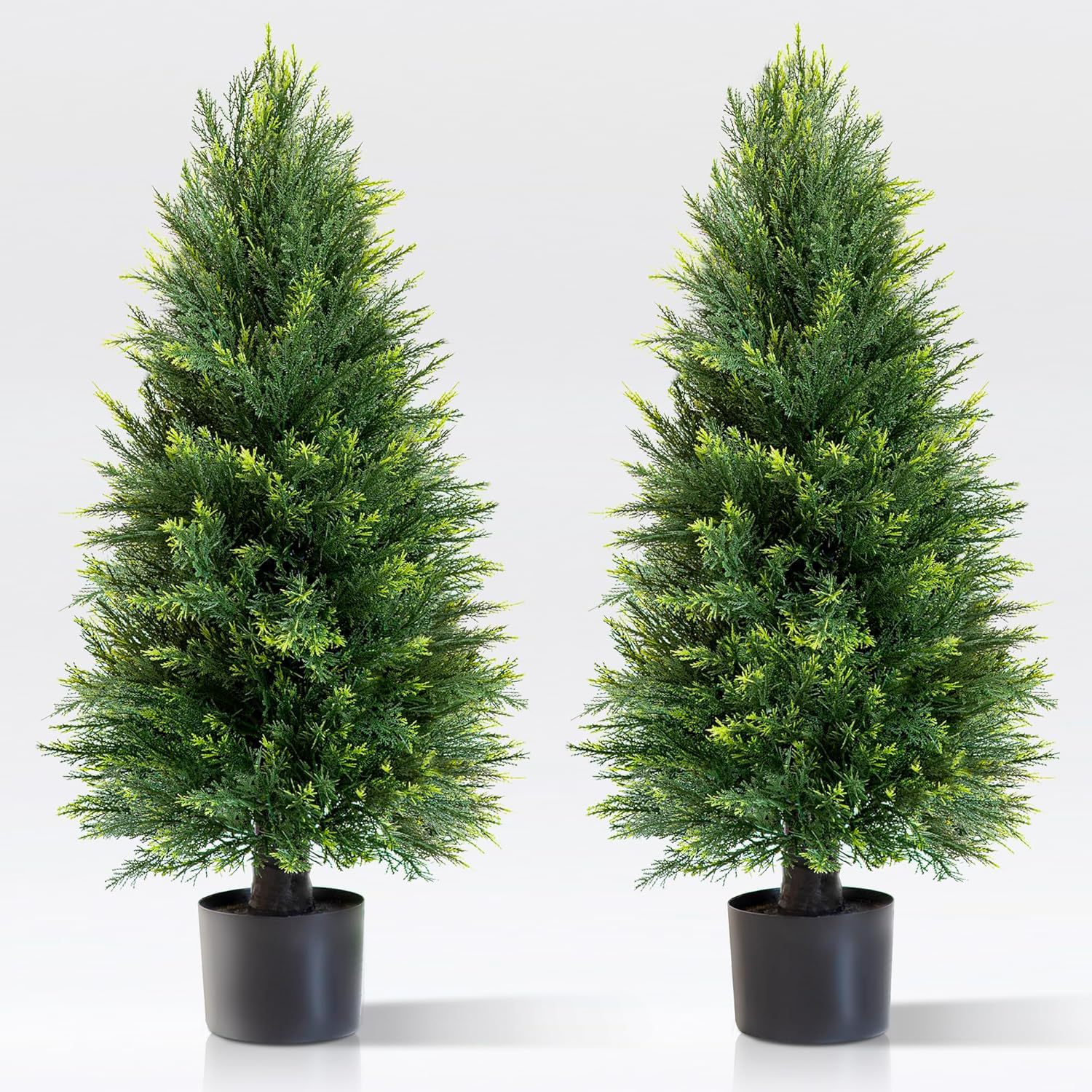 Simulation Pine And Cypress Po - огляд і ціна Sphagnum Moss Dry