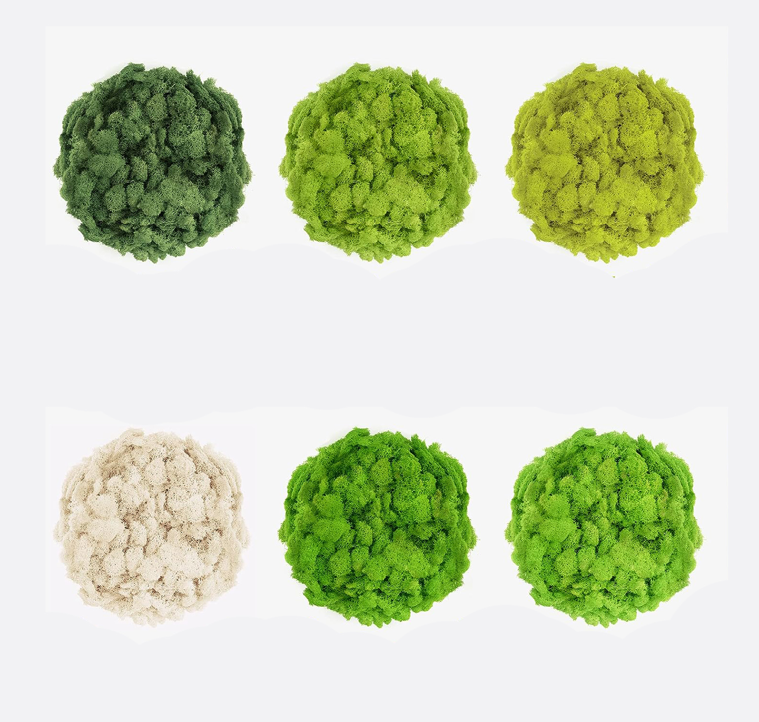 20/40/60g Eternal Life Moss Ar - огляд і ціна Sphagnum Moss Dry