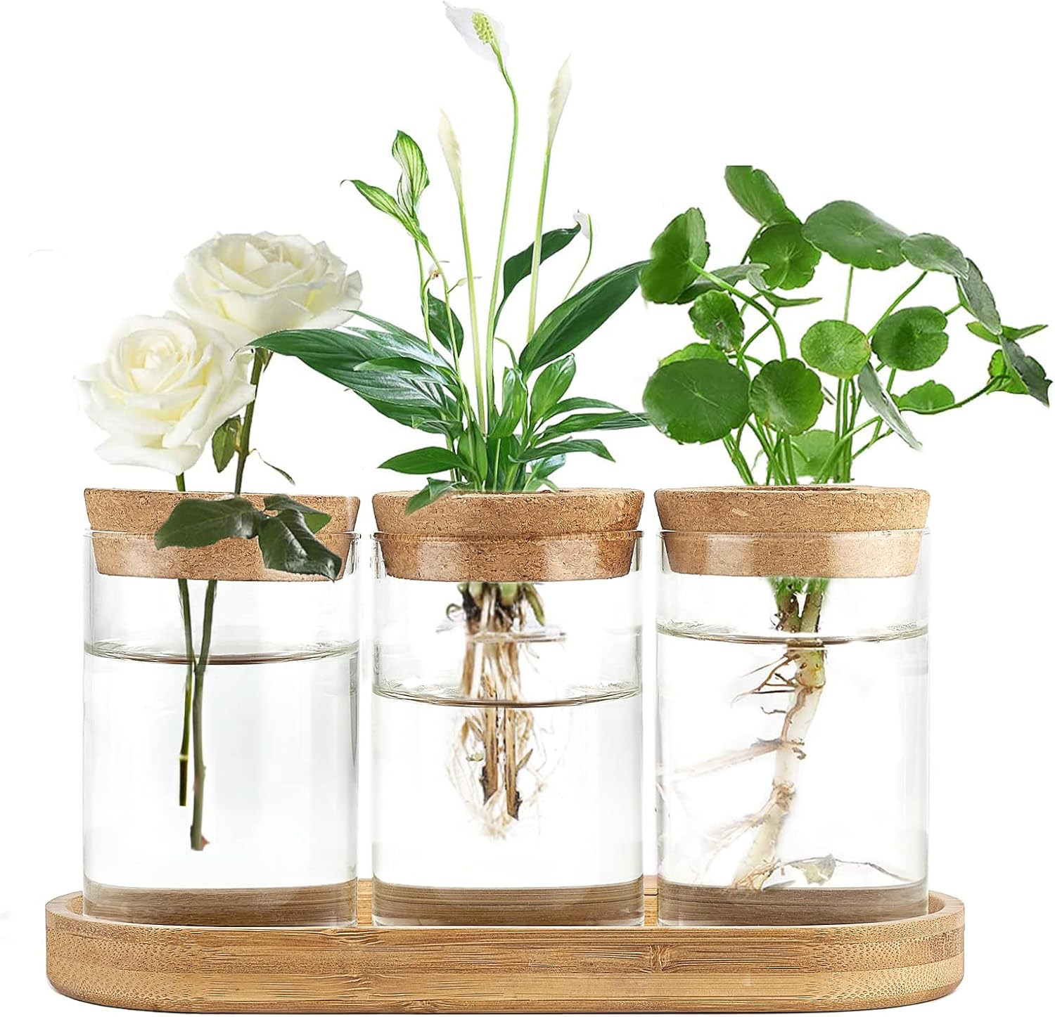 3 Pcs Glass Plant Propagation  - огляд і ціна Propagation Station Vase