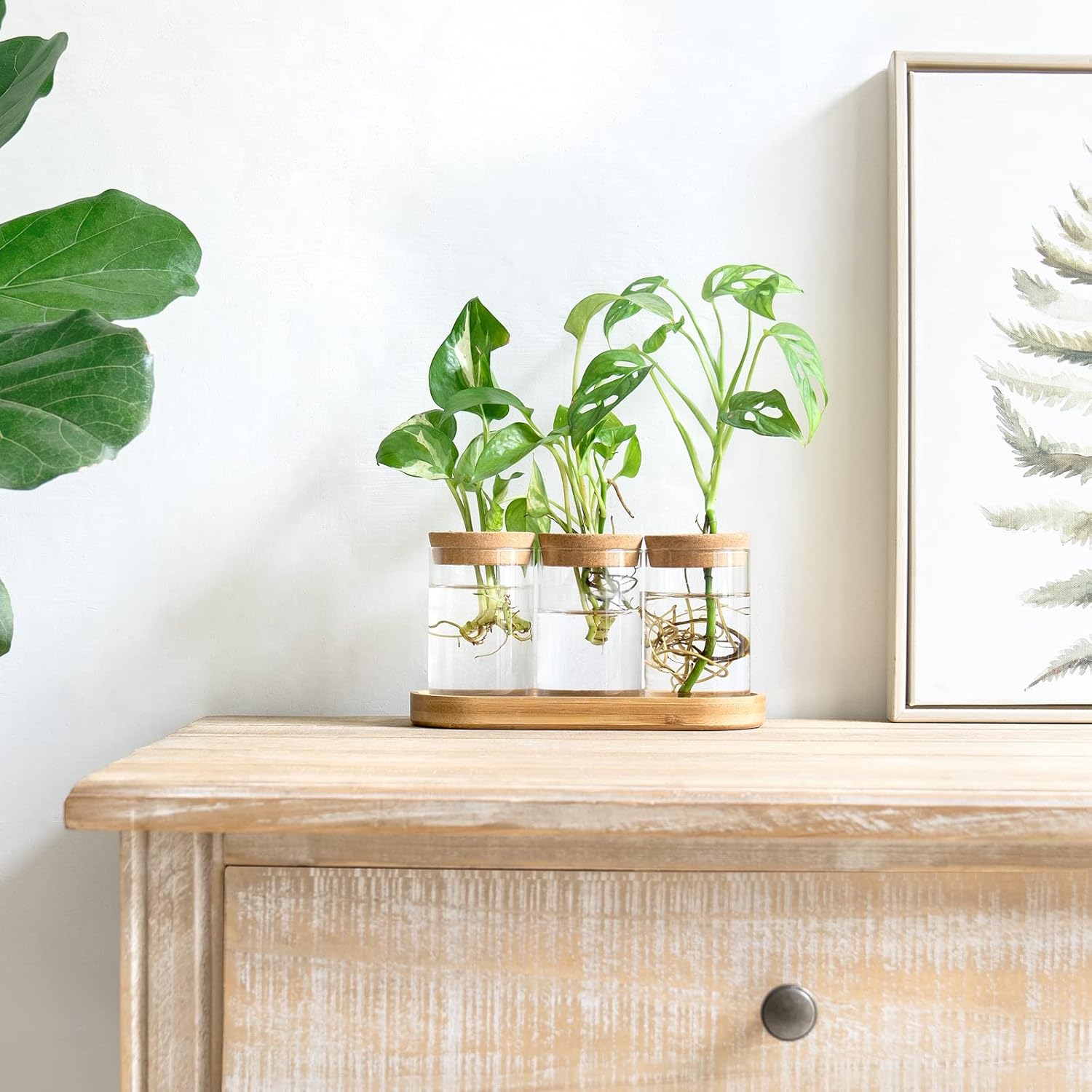 3 Pcs Glass Plant Propagation  - огляд і ціна Propagation Station Vase