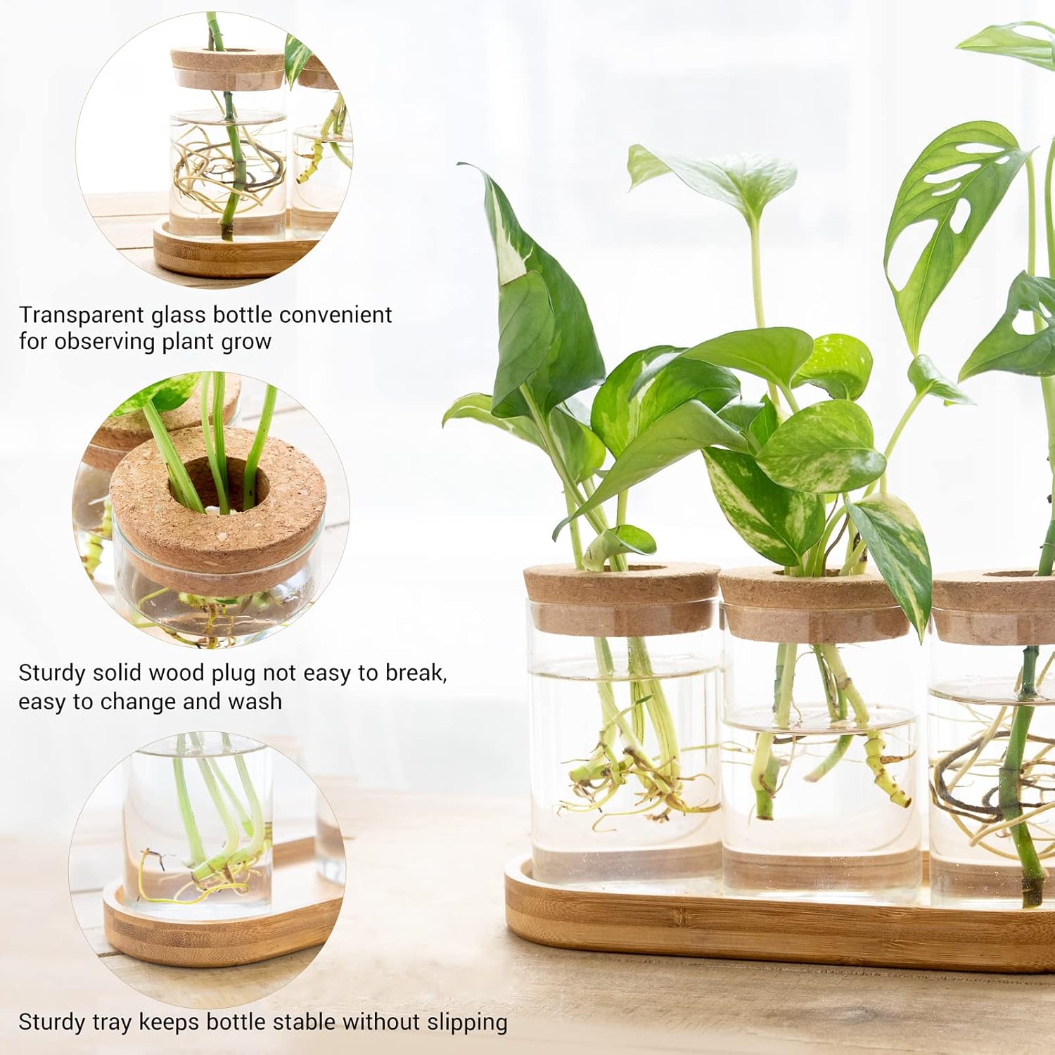 3 Pcs Glass Plant Propagation  - огляд і ціна Propagation Station Vase
