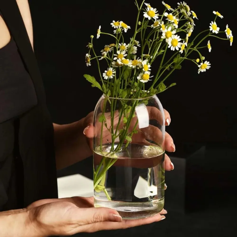 Creative Hydroponic Plant Glas - огляд і ціна Propagation Station Vase