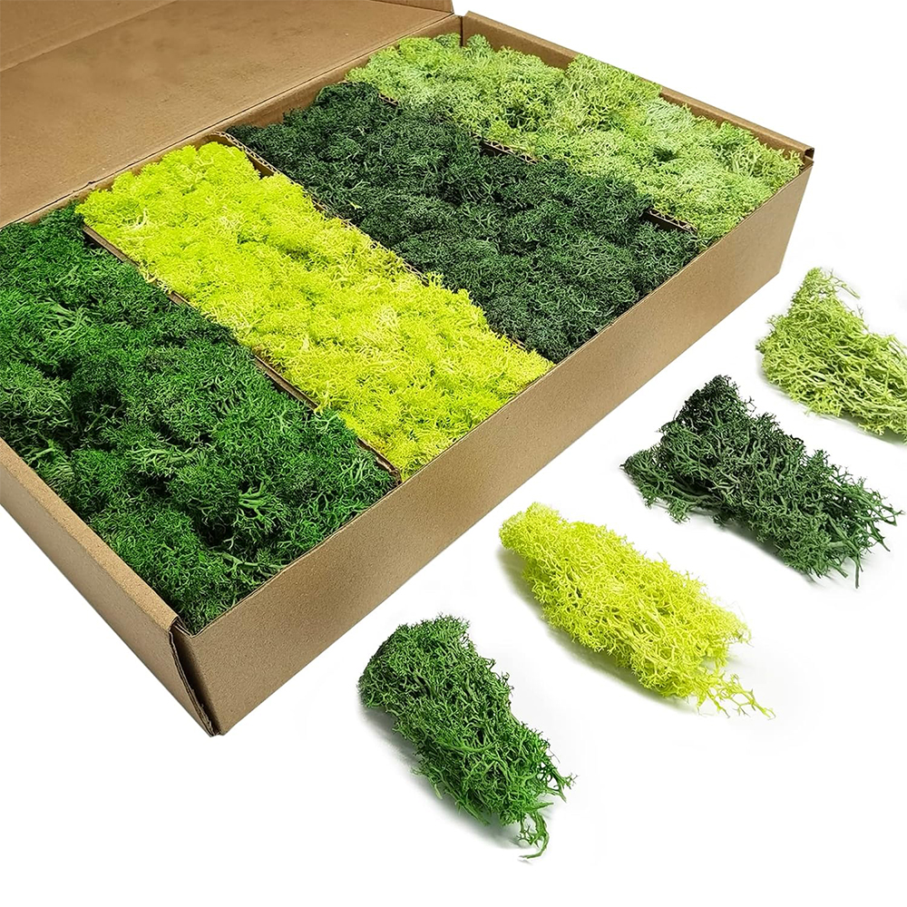 Artificial Green Plants Eterna - огляд і ціна Sphagnum Moss Dry