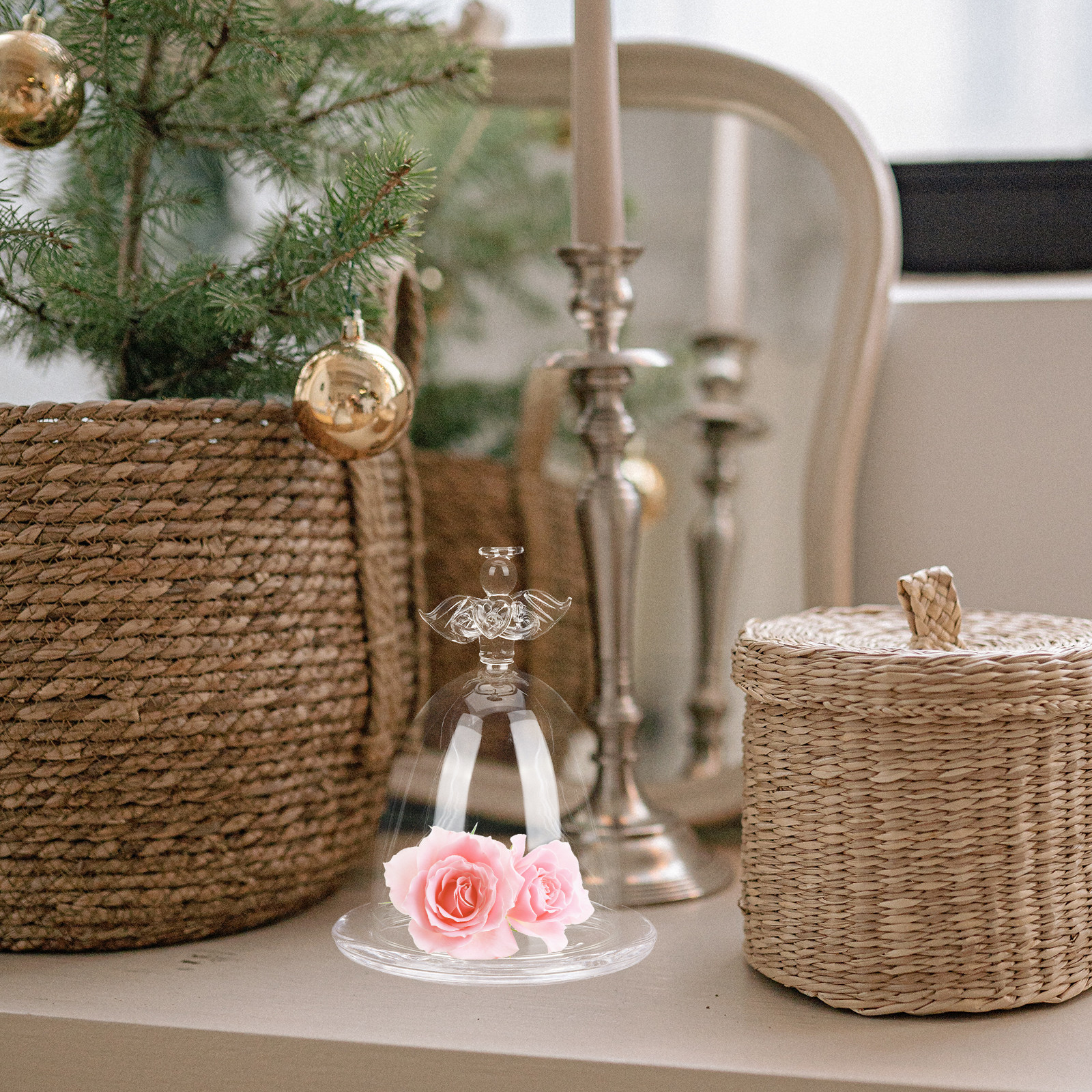 Angel Shaped Glass Dome Preser - огляд і ціна Plastic Dome Clear