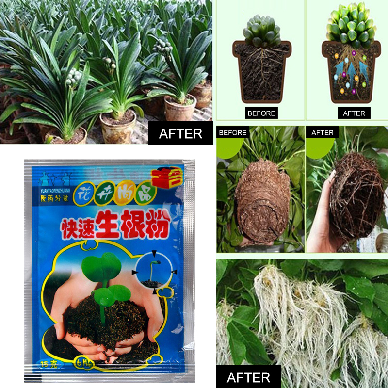 5pcs Fast Rooting Powder Plant - огляд і ціна Rooting Hormone Powder