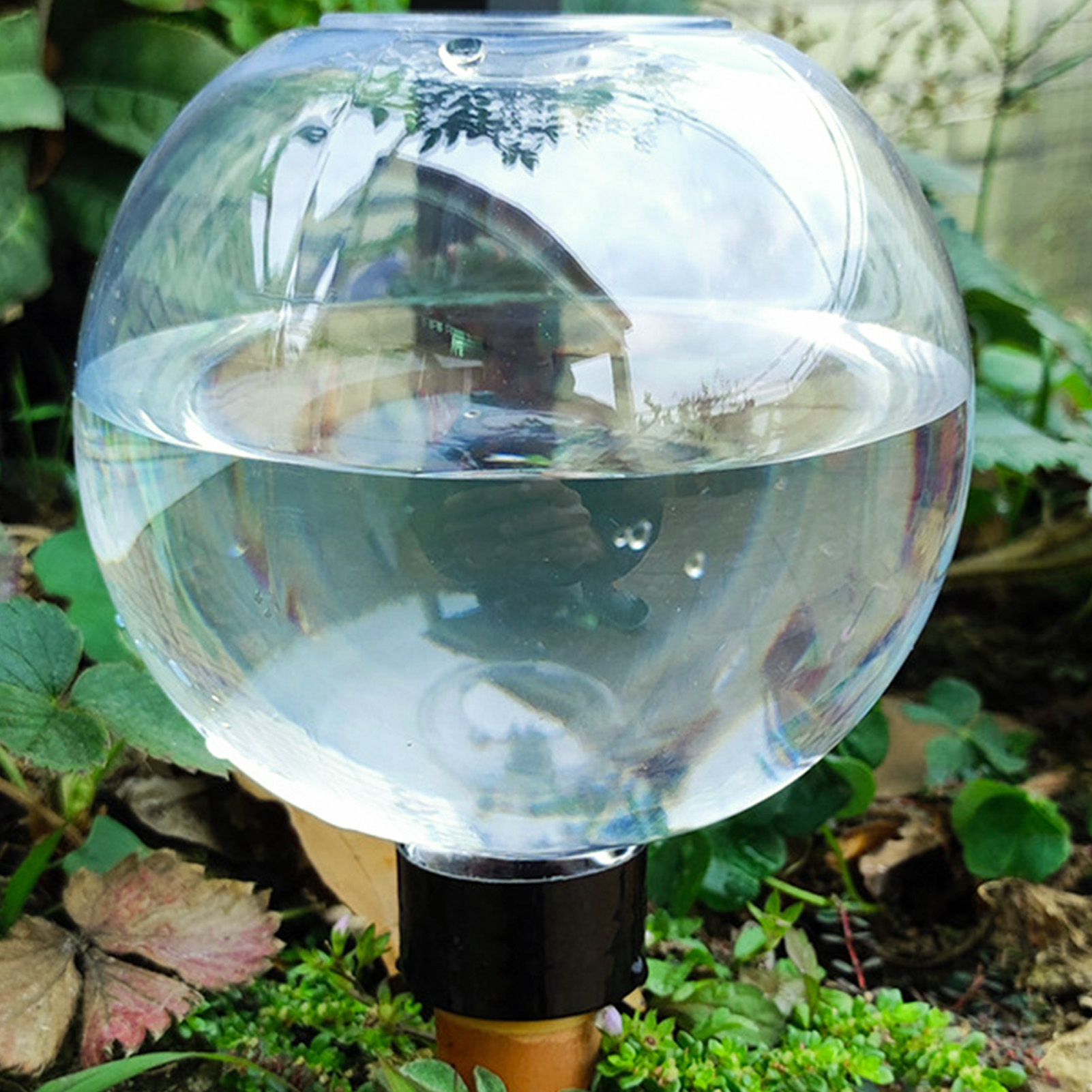 500ML Automatic Plant Watering - огляд і ціна Self Watering Insert