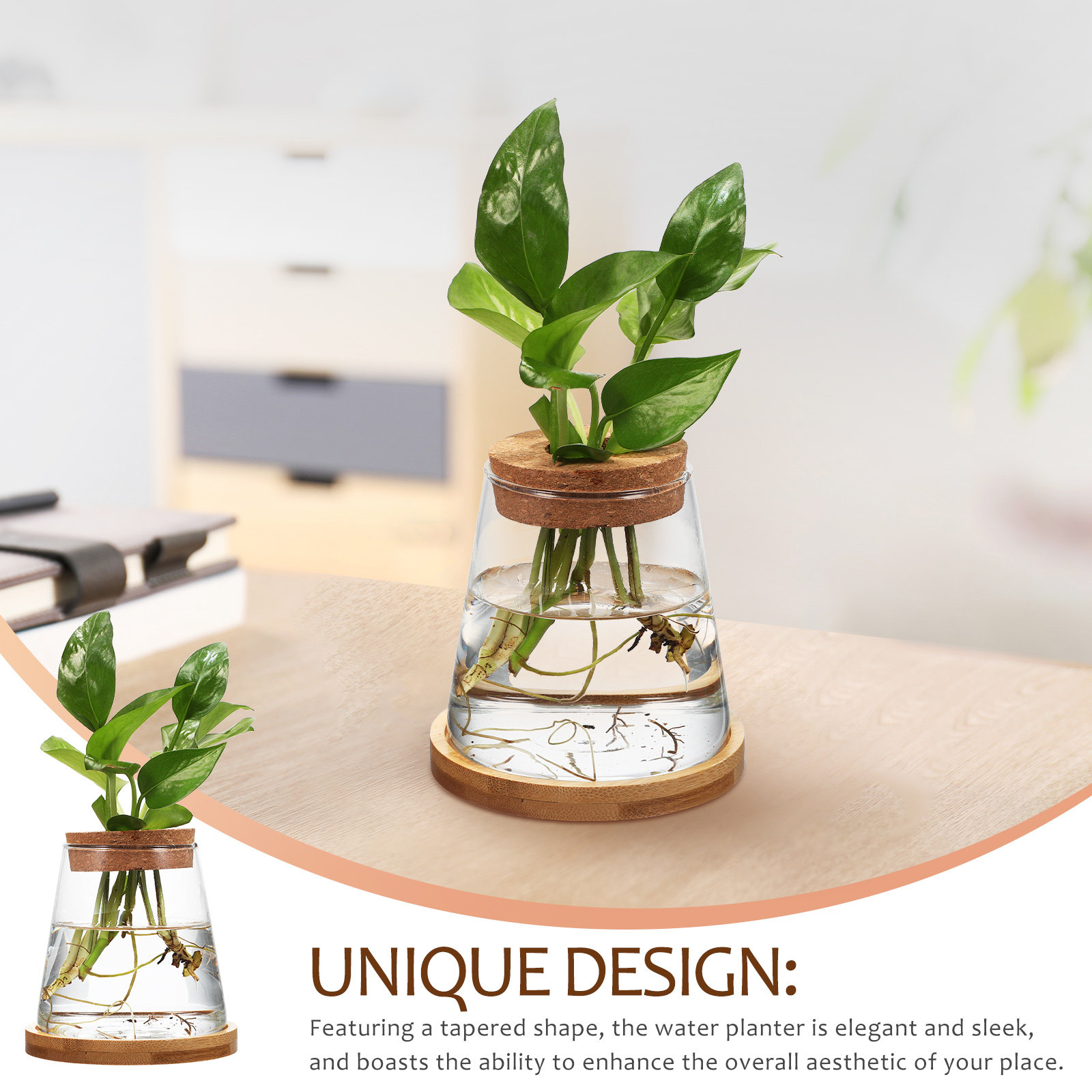 2Pcs Hydroponic Plants Propaga - огляд і ціна Propagation Station Vase