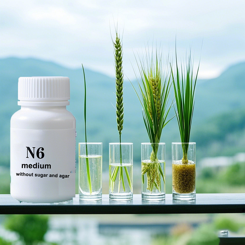 N6 Medium Wtihout Sugar Or Aga - огляд і ціна Agar Tissue Culture