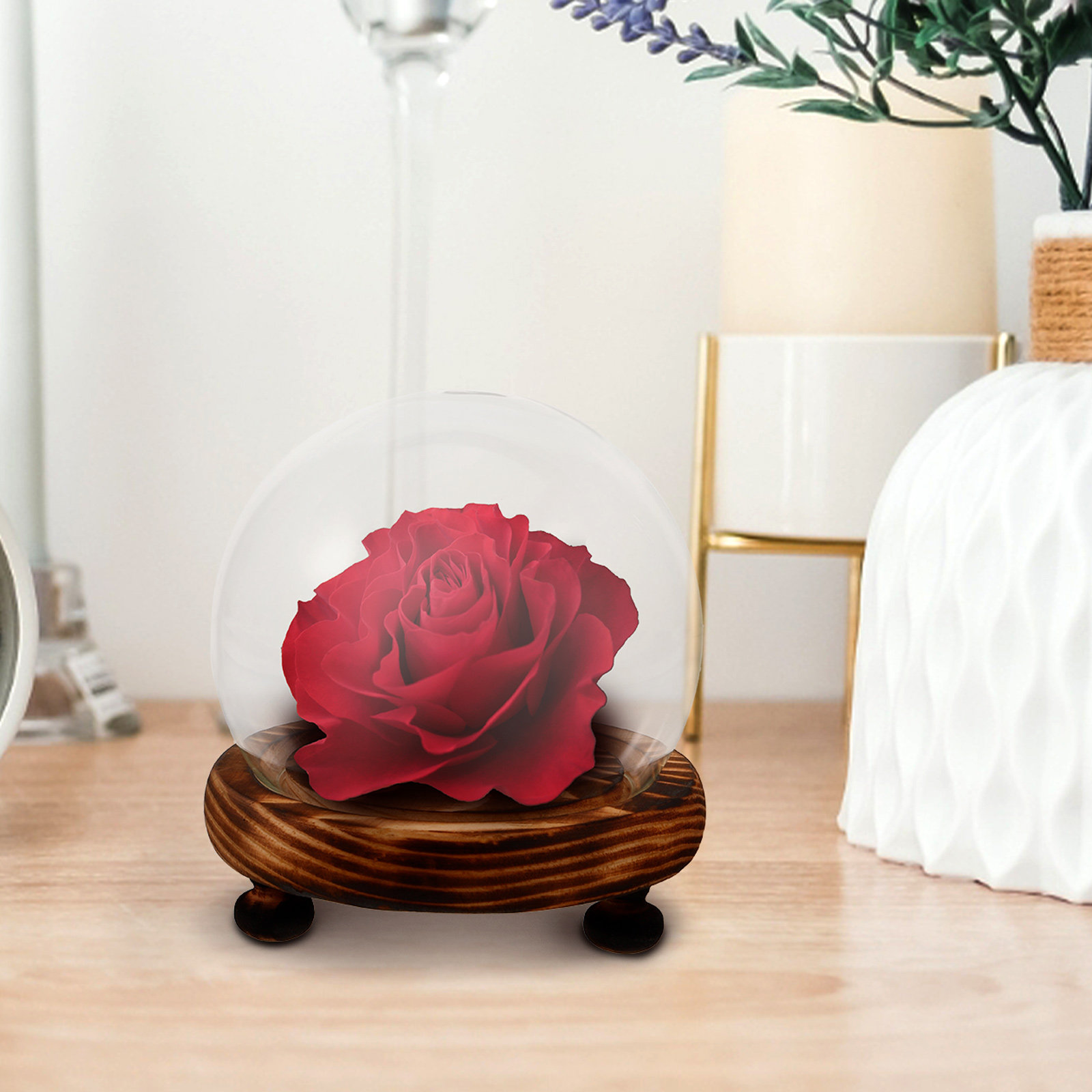 Glass Dome Display Case with W - огляд і ціна Plastic Dome Clear