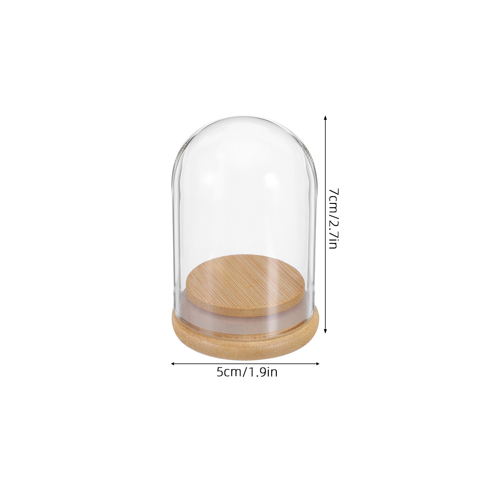 6Pcs Clear Glass Cloche Dome D - огляд і ціна Plastic Dome Clear