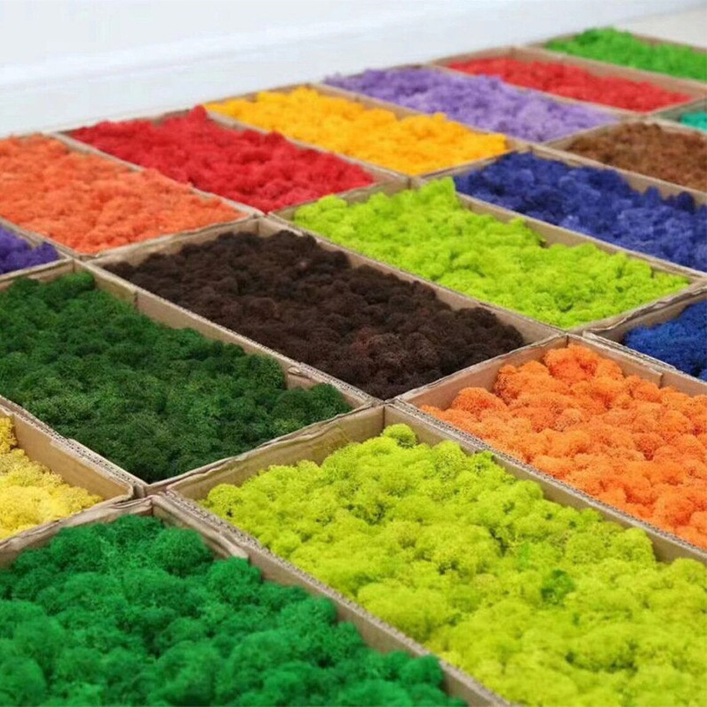 Artificial Green Plants Mini L - огляд і ціна Sphagnum Moss Dry