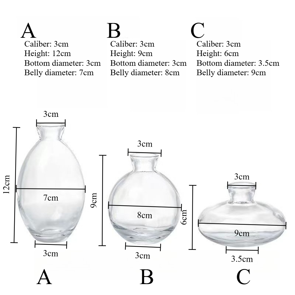 Nordic Transparent Glass Vase  - огляд і ціна Propagation Station Vase