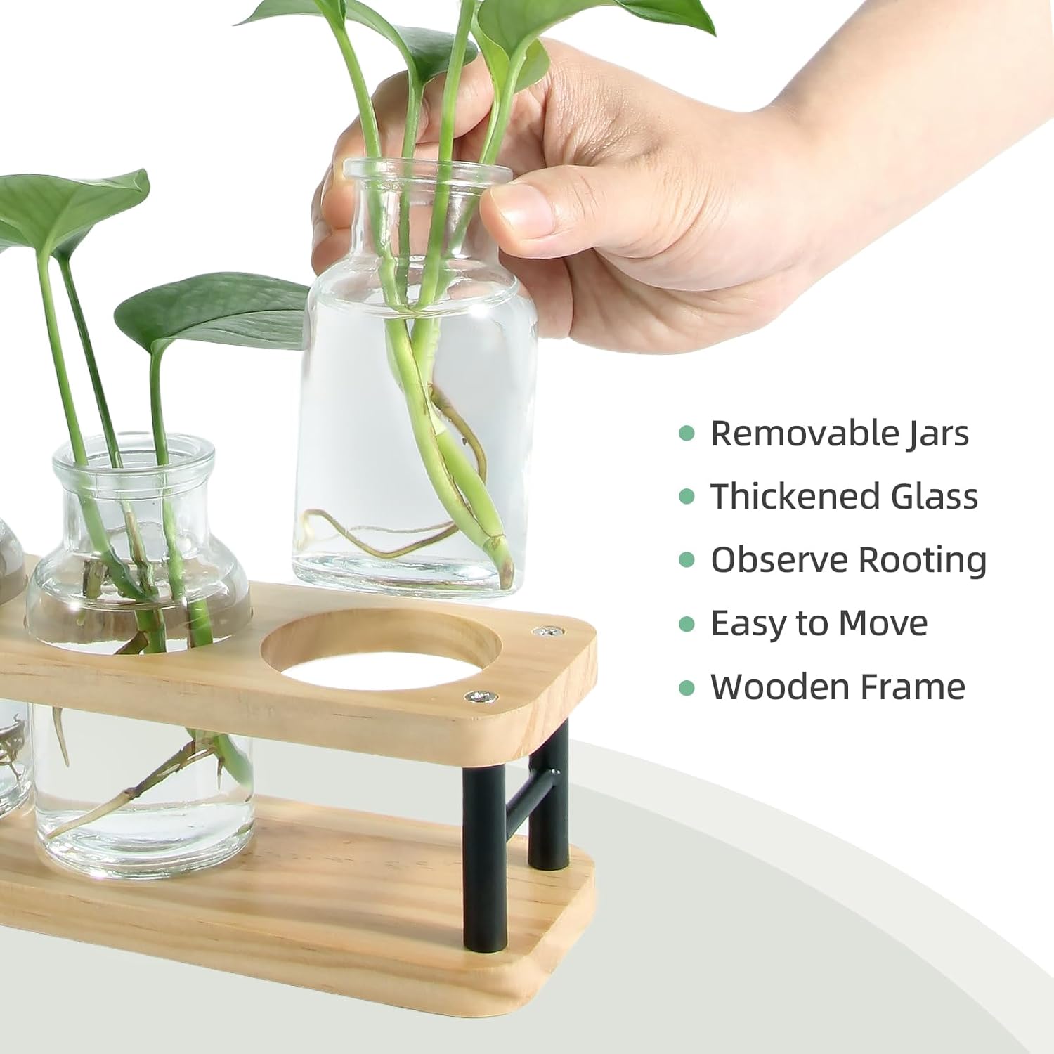 Propagation Station with Woode - огляд і ціна Propagation Station Vase