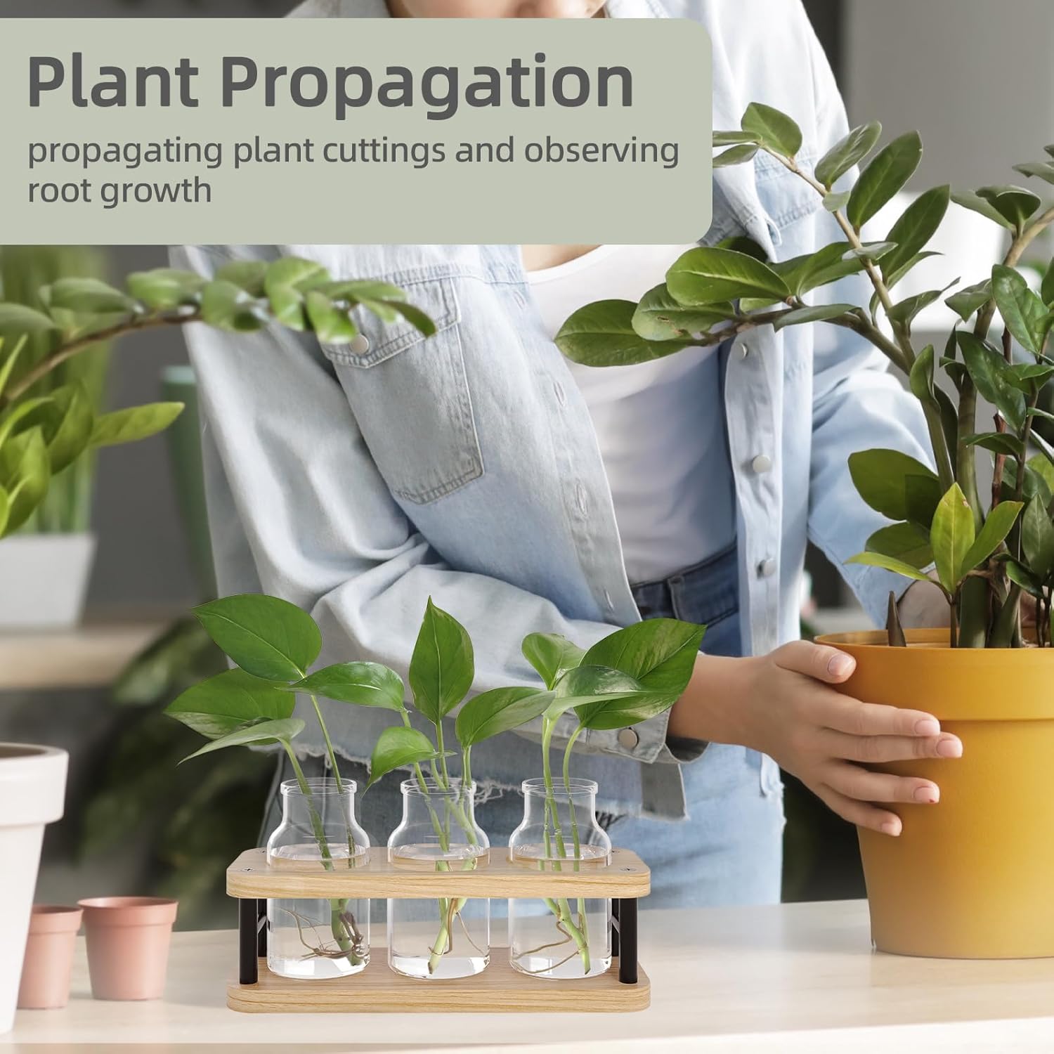 Propagation Station with Woode - огляд і ціна Propagation Station Vase