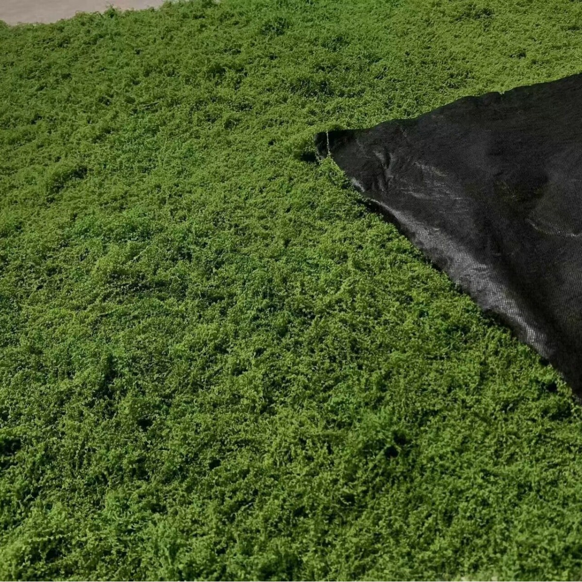 1*1m Fake Moss DIY Crafts Gras - огляд і ціна Sphagnum Moss Dry