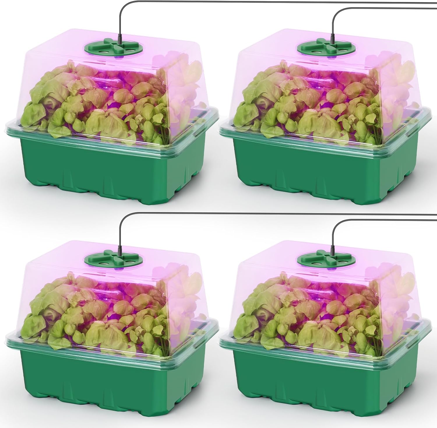 Seed Starter Kit with Grow Lig - огляд і ціна Humidity Dome Kit