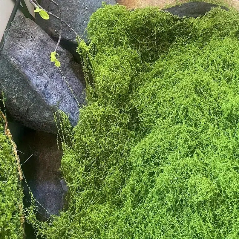 Green Fake Moss DIY Crafts Gra - огляд і ціна Sphagnum Moss Dry
