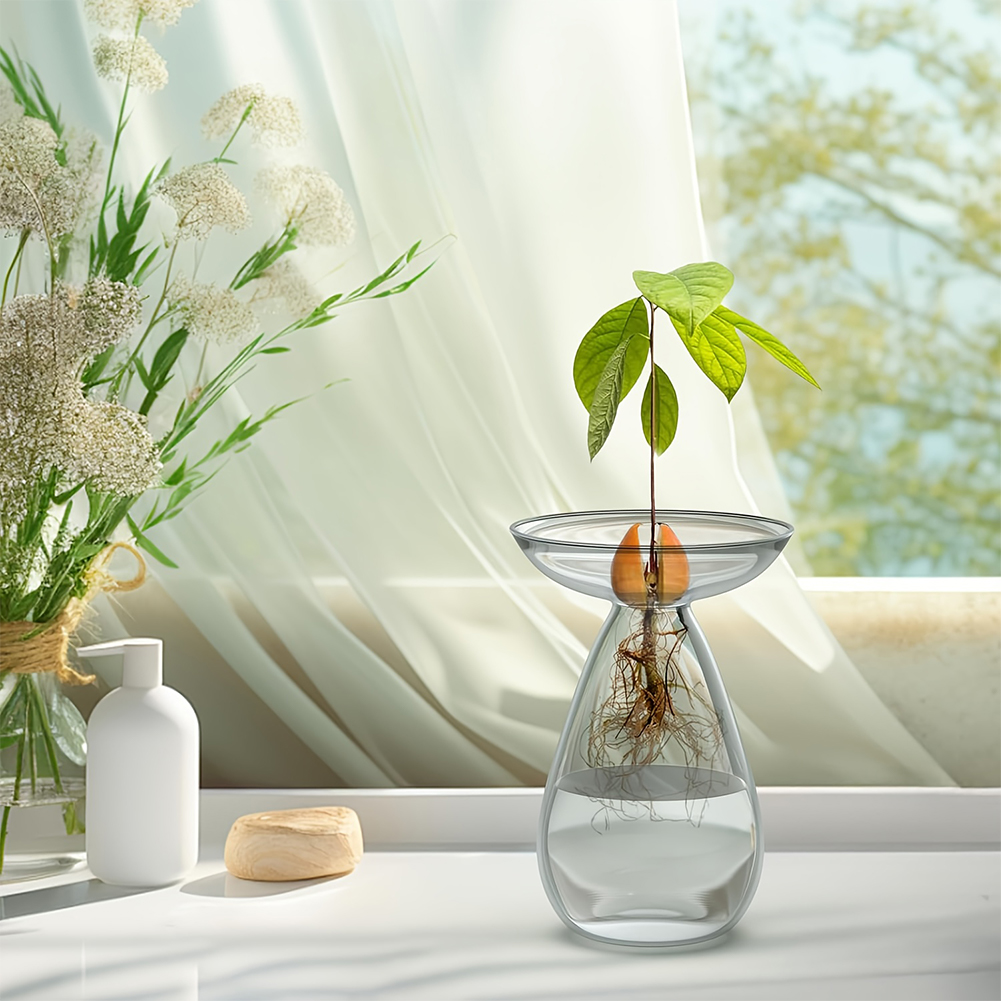 Avocado Seed Starter Vase Tran - огляд і ціна Propagation Station Vase
