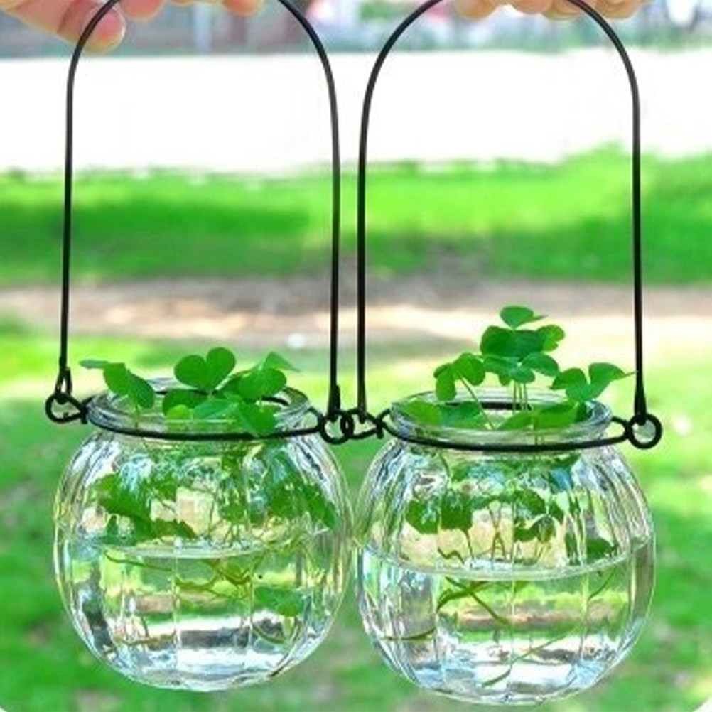 6Pcs Clear Glass Wall Planters - огляд і ціна Propagation Station Vase
