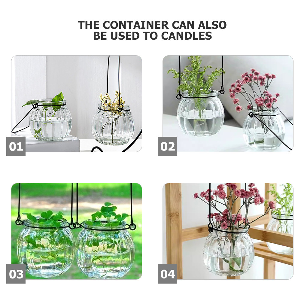 6Pcs Clear Glass Wall Planters - огляд і ціна Propagation Station Vase