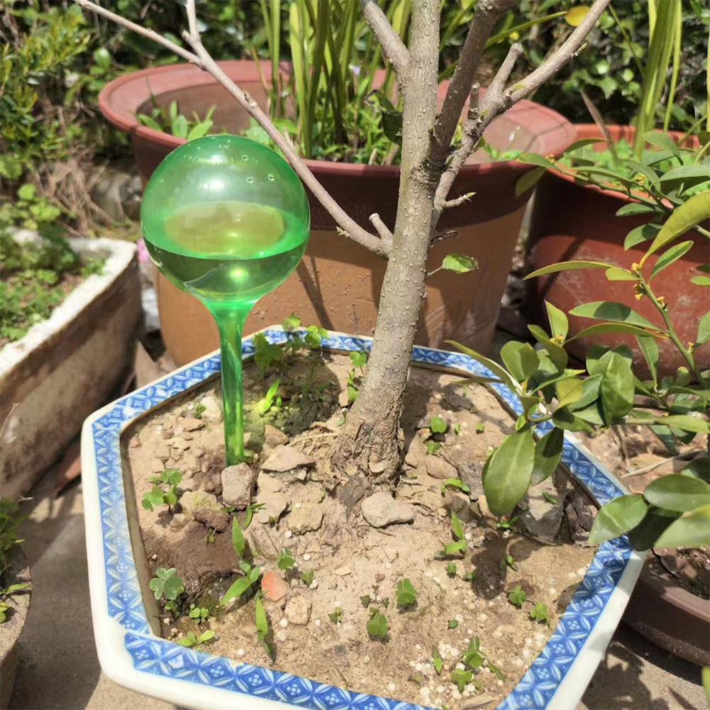 Automatic Plant Watering Bulbs - огляд і ціна Self Watering Insert