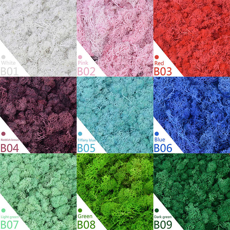 40/20g Artificial Moss Grass G - огляд і ціна Sphagnum Moss Dry