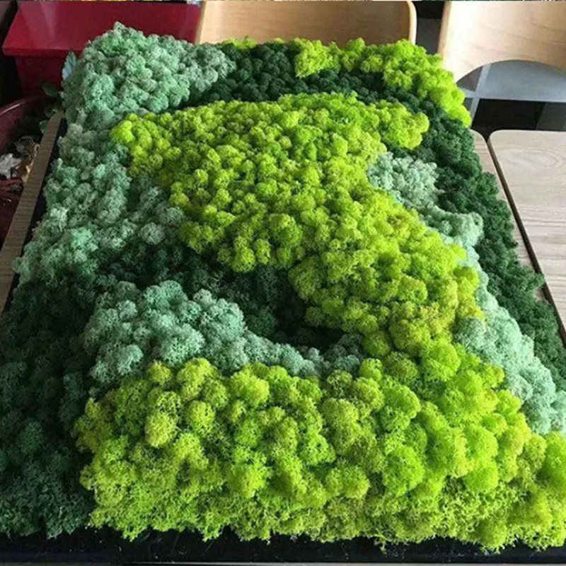 40/20g Artificial Moss Grass G - огляд і ціна Sphagnum Moss Dry