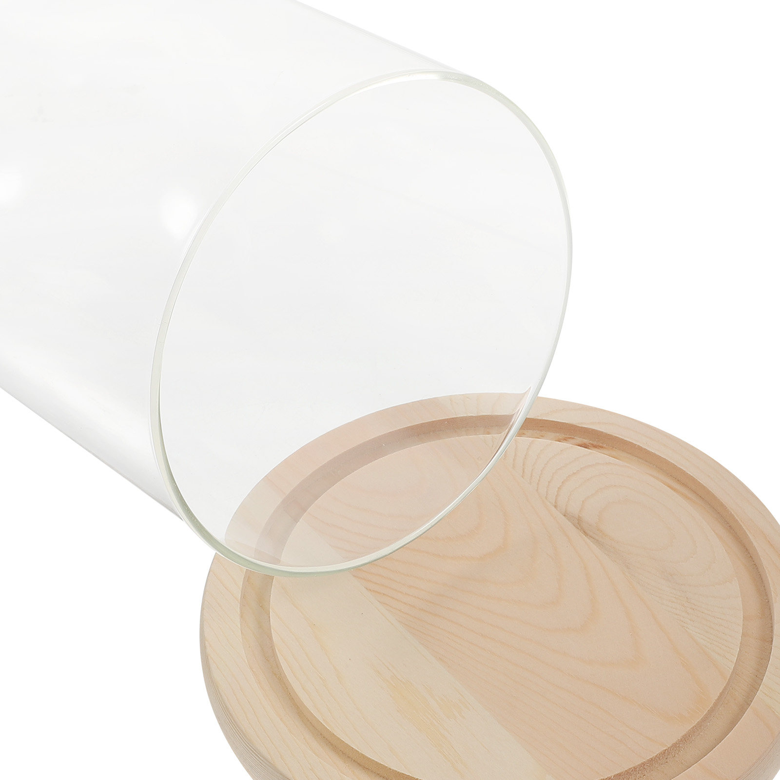 Glass Dome Display Case with B - огляд і ціна Plastic Dome Clear