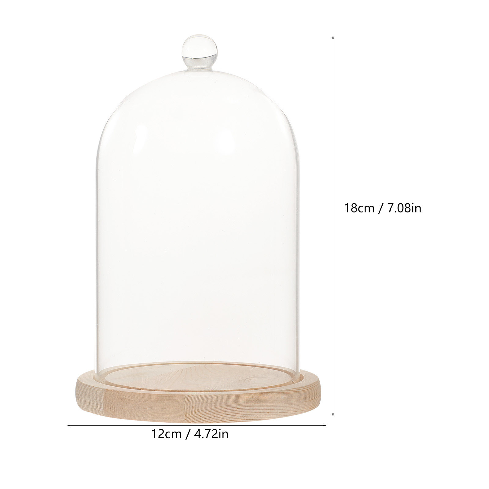 Glass Dome Display Case with B - огляд і ціна Plastic Dome Clear