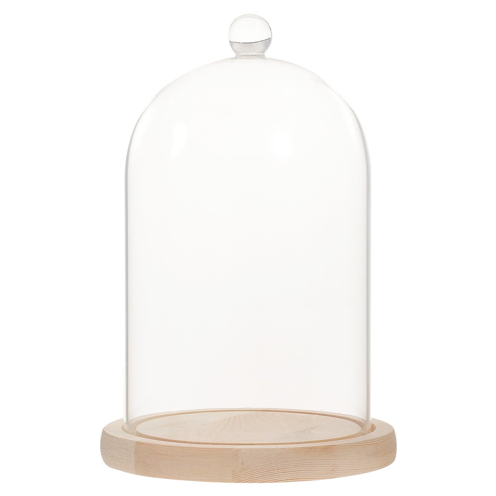 Glass Dome Display Case with B - огляд і ціна Plastic Dome Clear